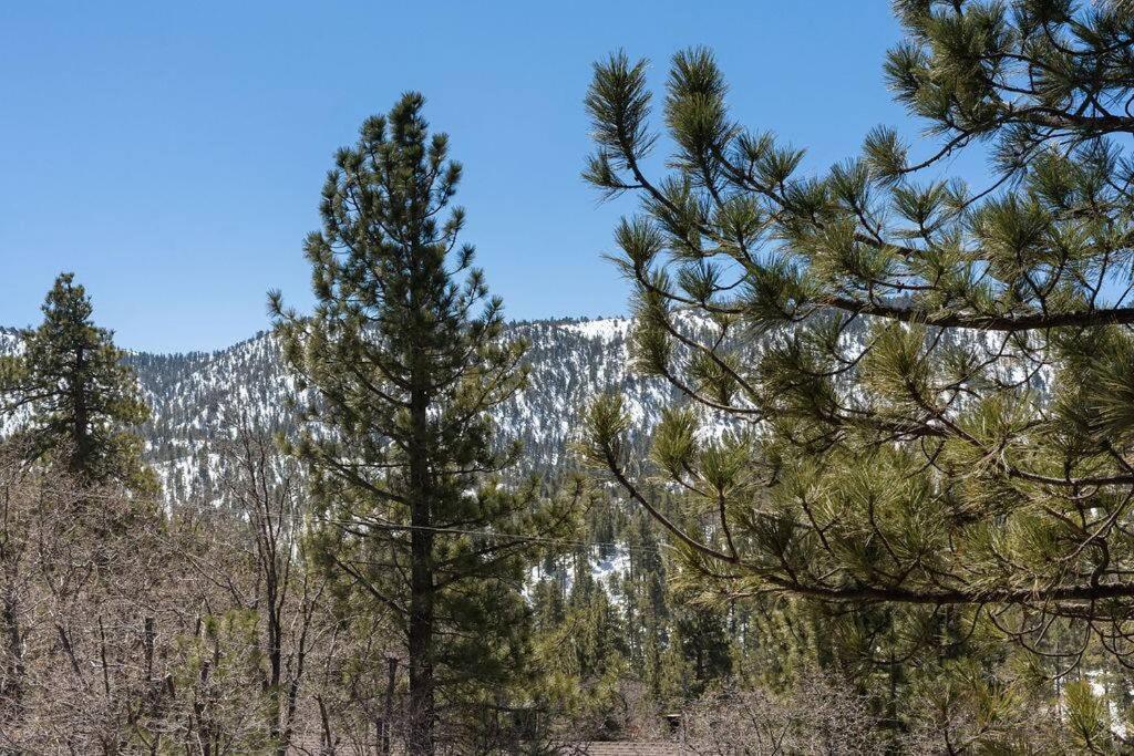 Koselig Cabin W Hot Tub, Fireplace & Central Ac Big Bear Lake Exterior photo